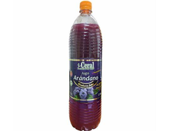 Jugo de arándanos Ceral