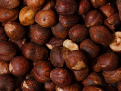 Avellanas
