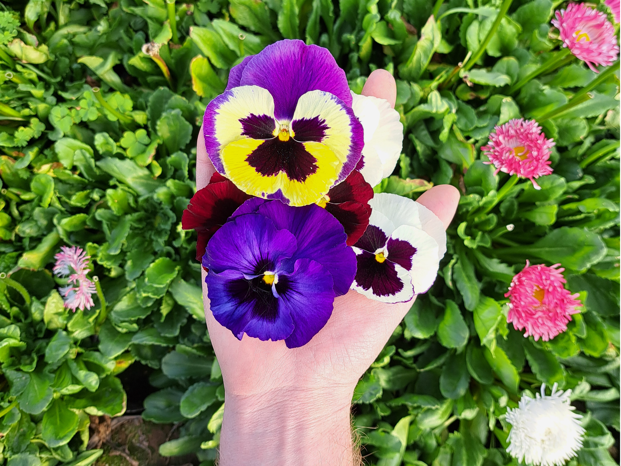 Pensamientos grandes