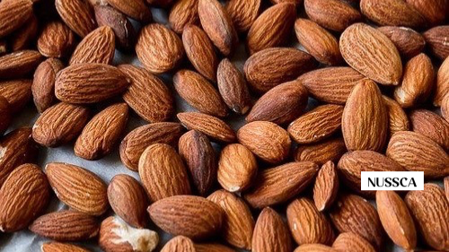 FRUTOS SECOS