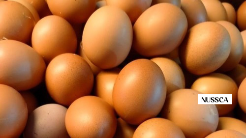 HUEVOS