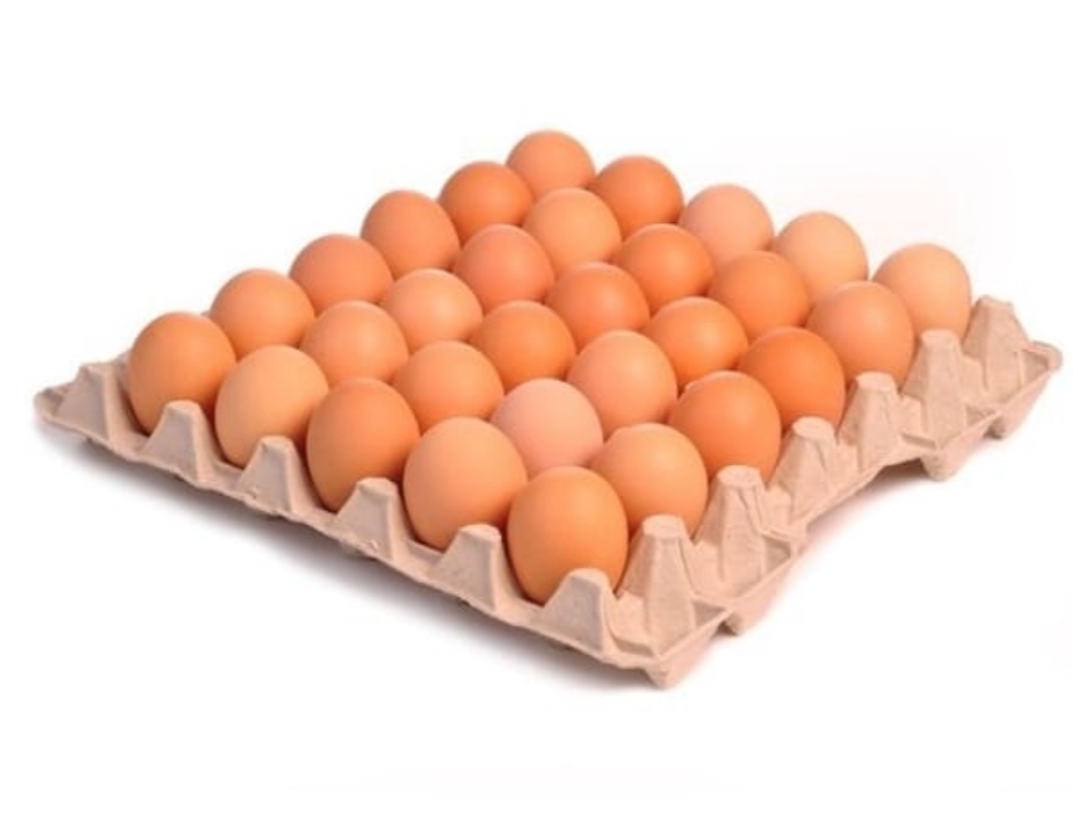 Bandeja de huevos frescos grandes