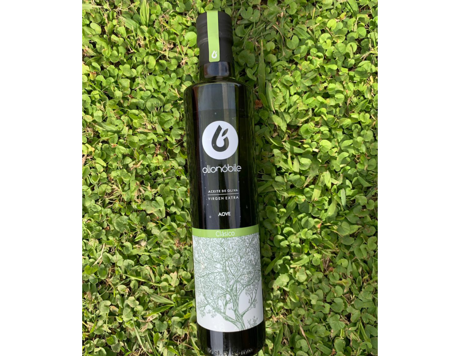 Aceite de oliva premium extra virgen