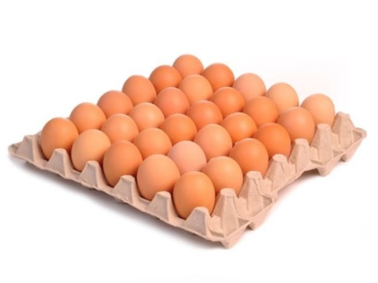 Bandeja de huevos frescos medianos