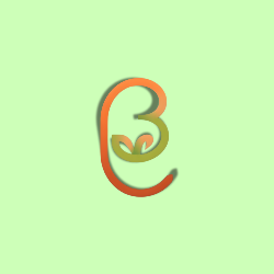 Logo BuenoiNatural