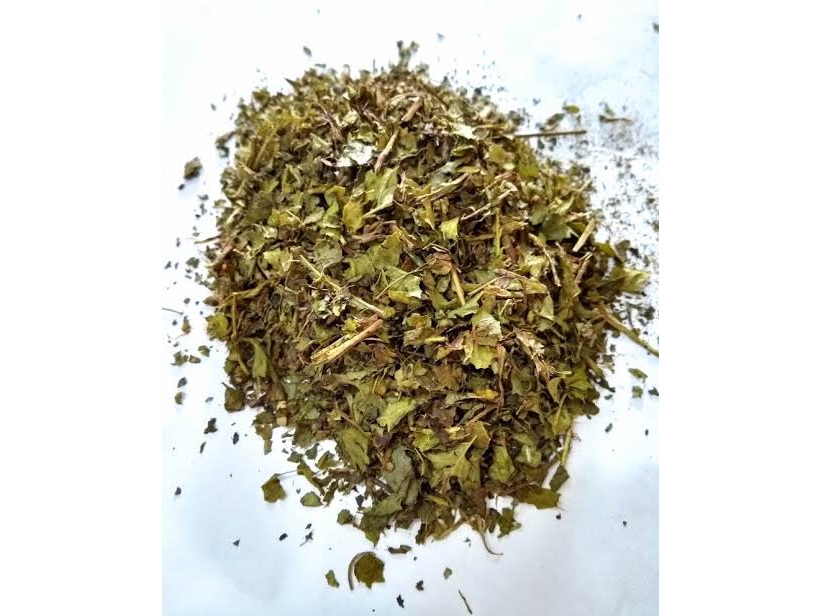 Té Sencha en hebras Verde Japónes