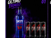 Sky frutos rojos + speed 250ml (4)