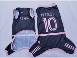 ENTERITO INTER ALTERNATIVO