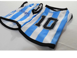 RACING DE AVELLANEDA