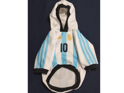 BUZO ARGENTINA OFICIAL