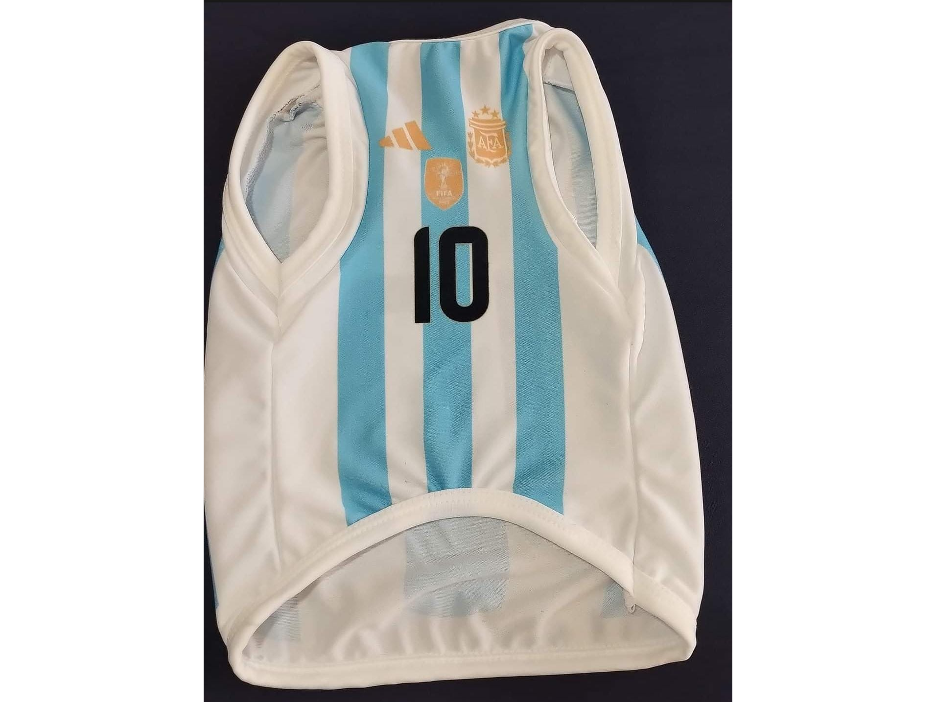 CAMISETA OFICIAL ARGENTINA 2024