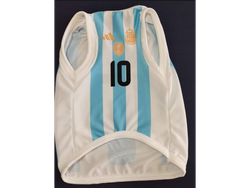 CAMISETA OFICIAL ARGENTINA 2024