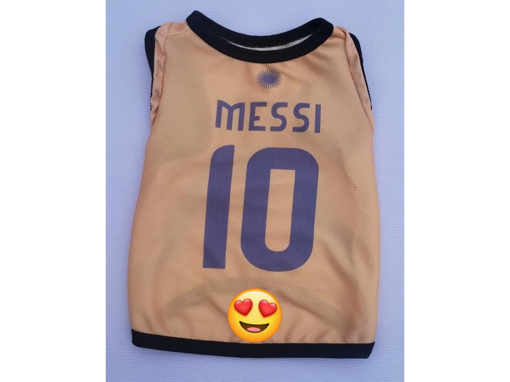 CAMISETA ARG ENTRENAMIENTO DORADA 2024