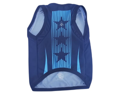 CAMISETA ARGE ENTRENAMIENTO ESTRELLAS 2024