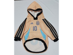 BUZO ARG ENTRENAMIENTO DORADO