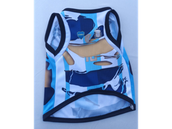 CONBINADA ARGENTINA /BOCA