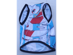 CONBINADA ARGENTINA / RIVER