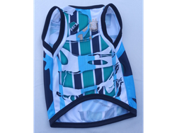 CONBINADA ARGENTINA / MITRE