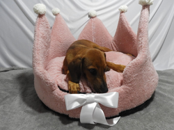 CUCHA CORONA