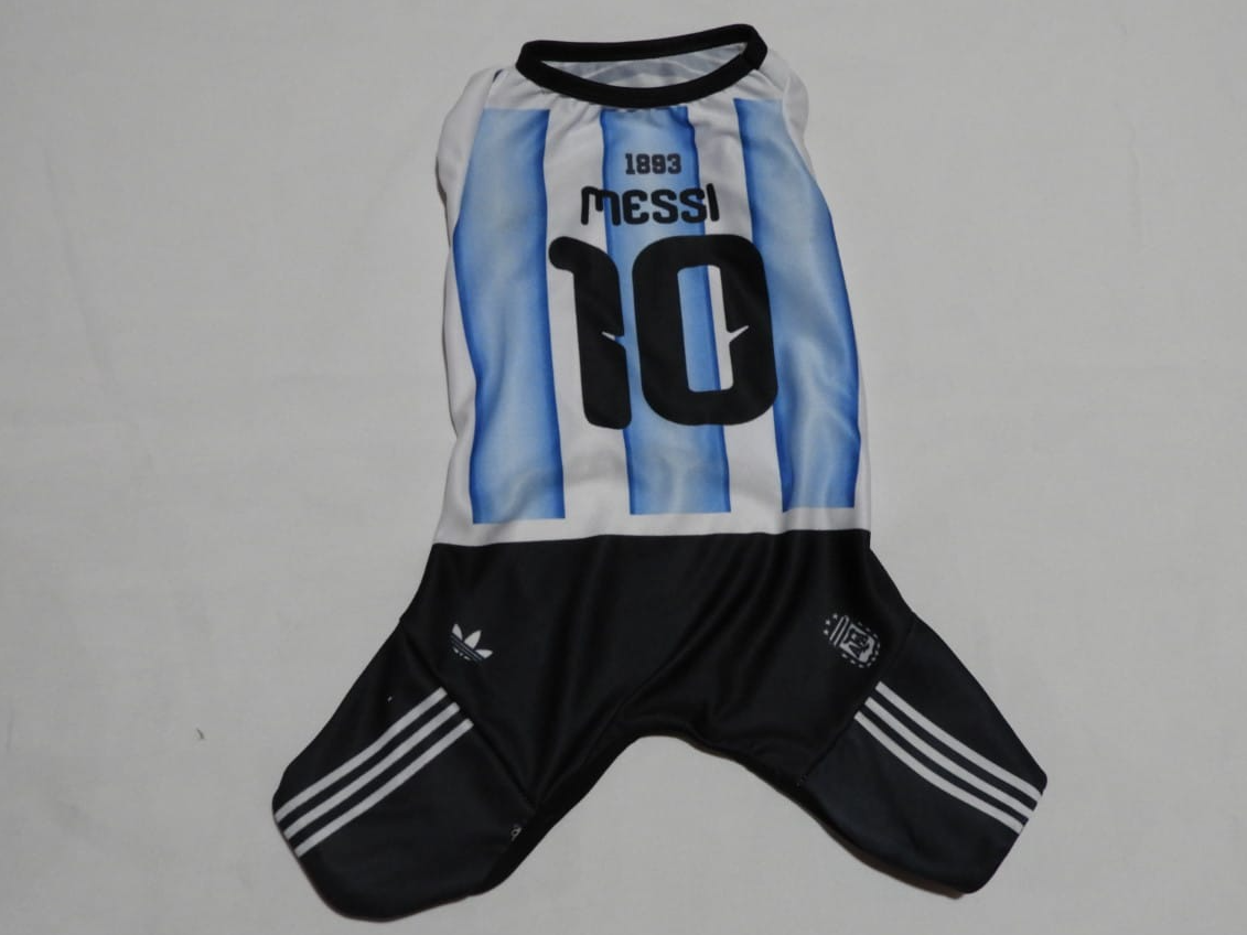 ENTERITO DE ARGENTINA OFICIAL