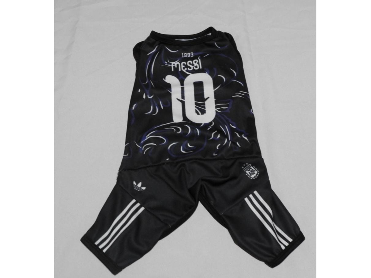 ENTERITO DE ARGENTINA 2026 ALTERNATIVA