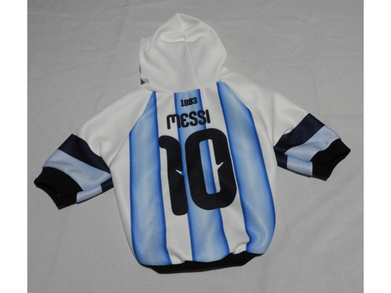 BUZO DE ARGENTINA OFICIAL