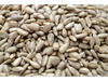 SEMILLA DE GIRASOL SIN CASCARA X 100 GR