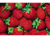 FRUTILLA