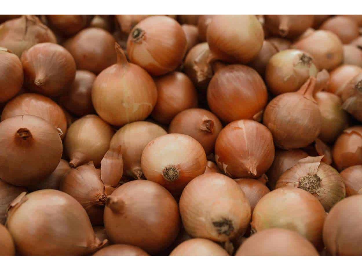 BOLSA DE CEBOLLA 18 KG