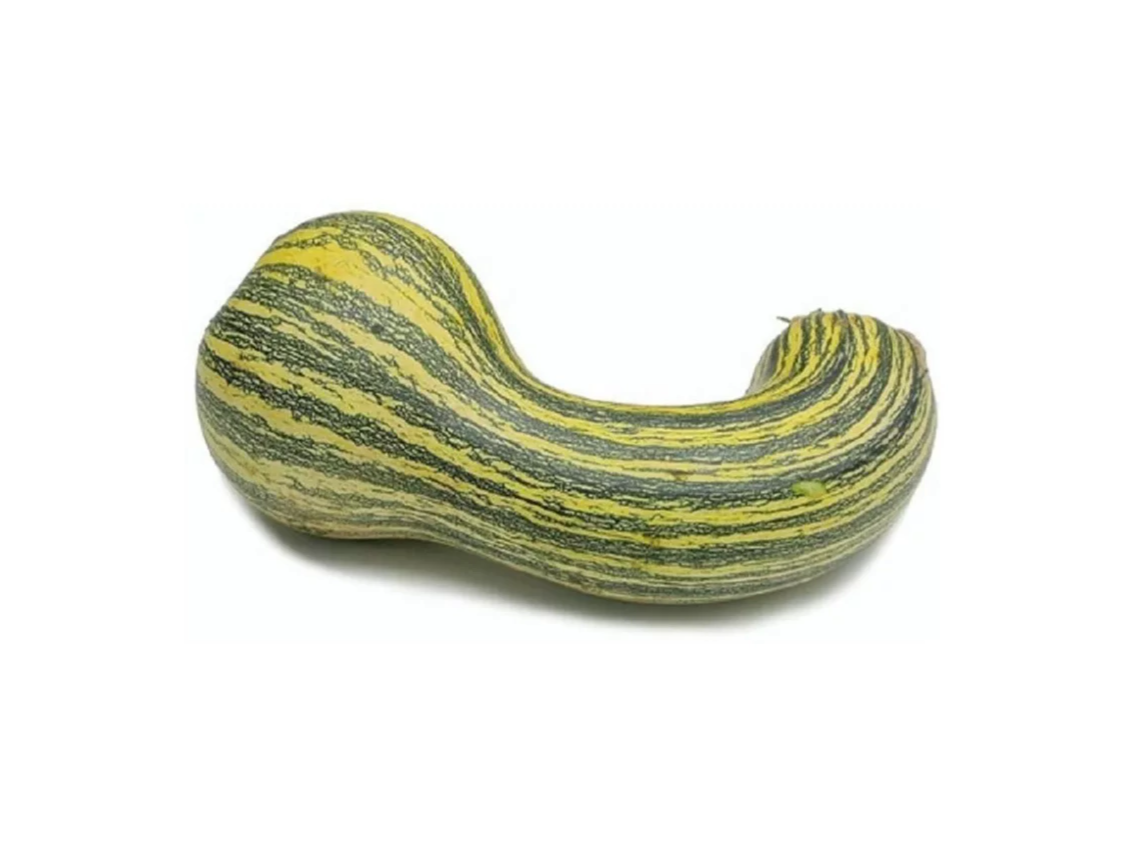 CALABAZA