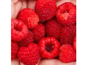 FRAMBUESAS X 150 GR