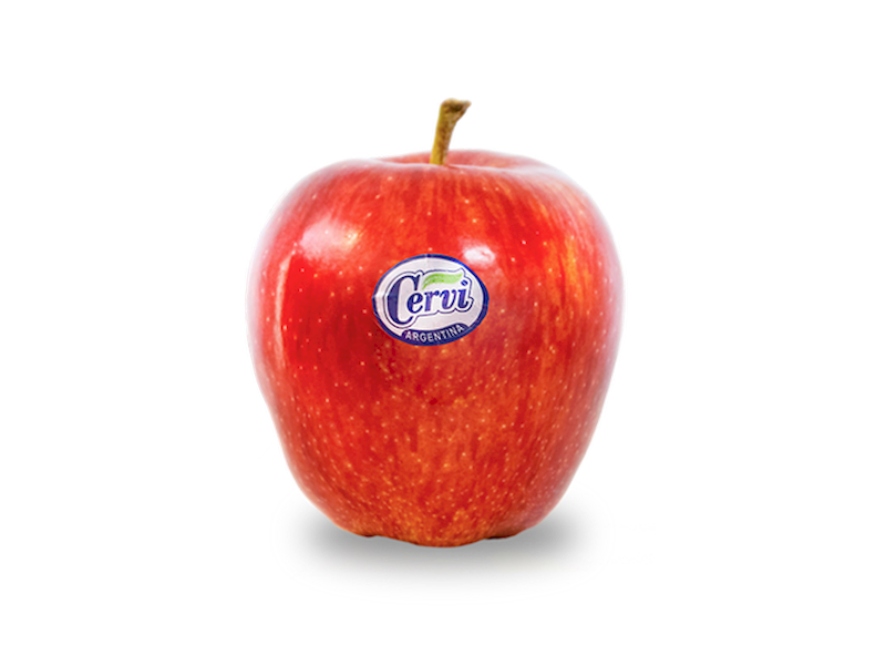 MANZANA COMUN