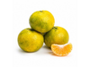 MANDARINA CRIOLLA