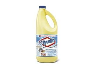 LAVANDINA  2lts (AYUDIN)