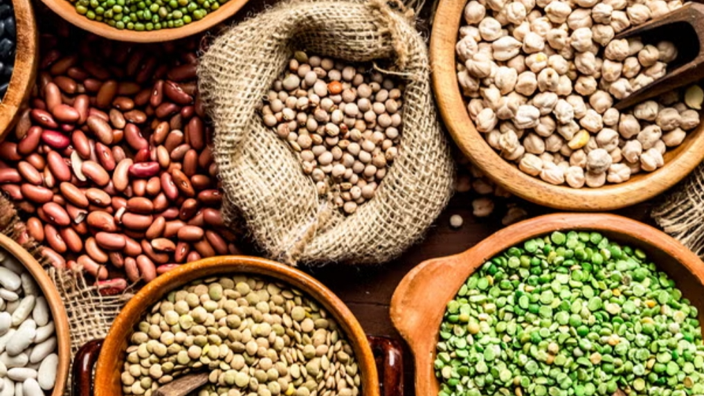 CEREALES Y LEGUMBRES