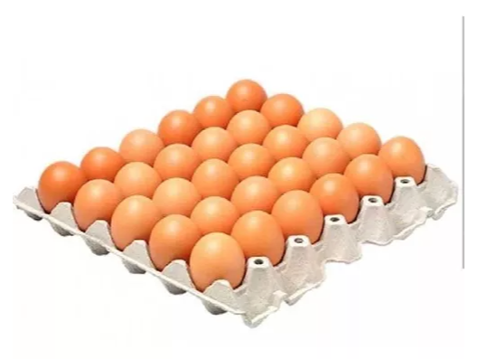 CARTON DE HUEVOS