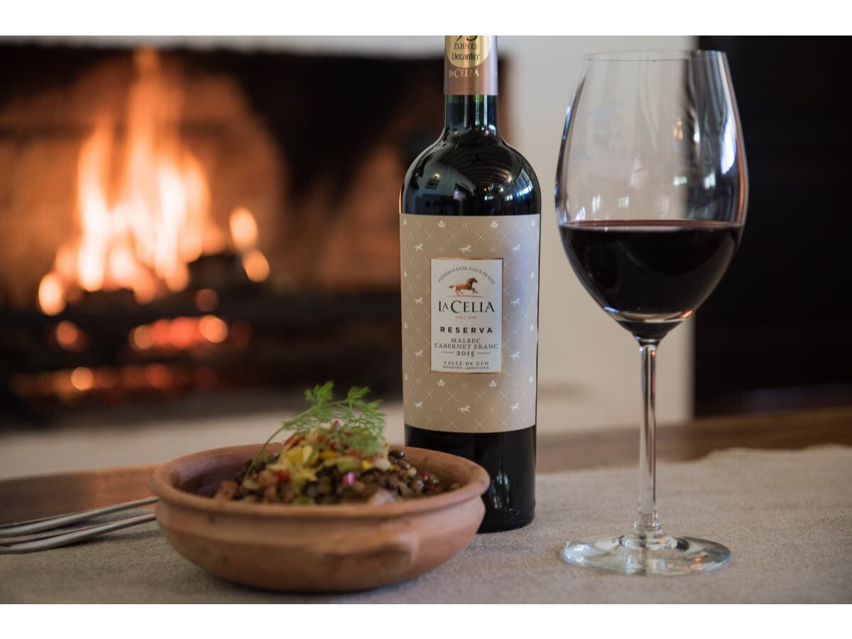 La Celia Reserva  Malbec