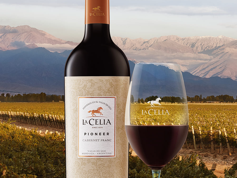 La Celia Pionner Cabernet Franc