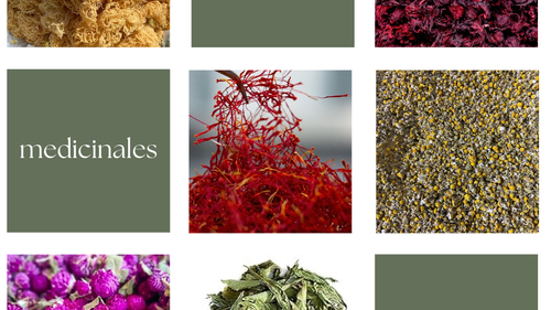 Hierbas medicinales