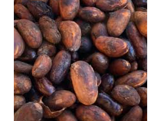 semillas de cacao