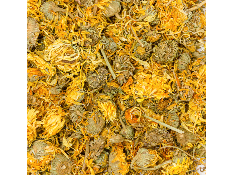 Calendula