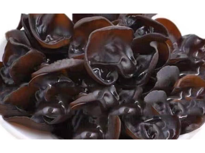 Hongos black fungus