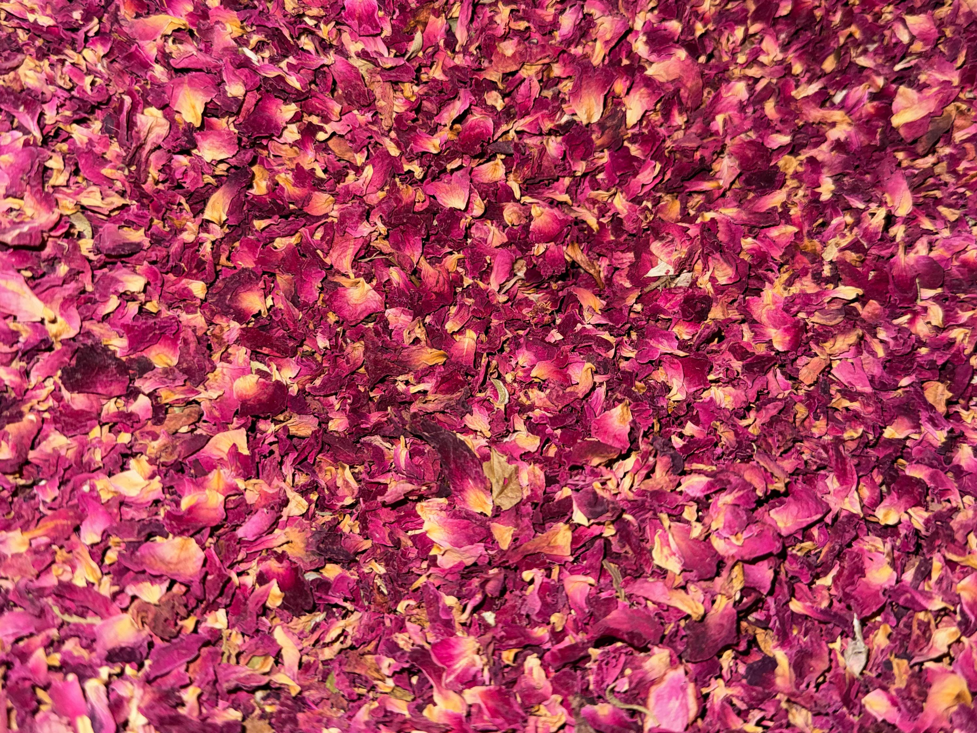 Petalos de rosa