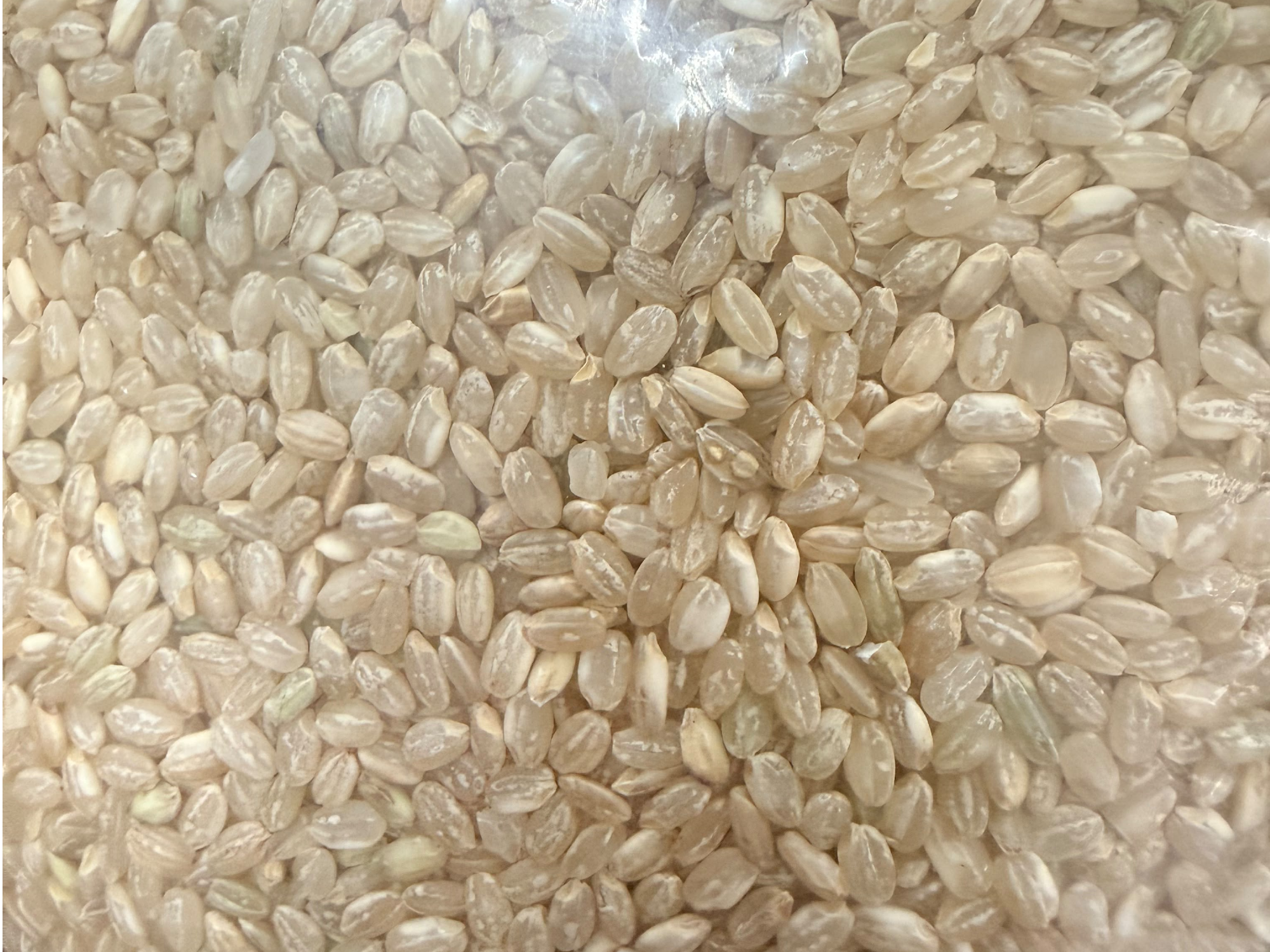 Arroz Yamani 1k