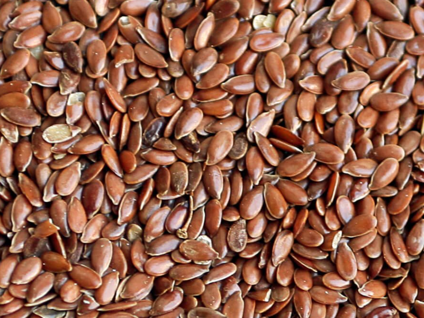 Lino en grano