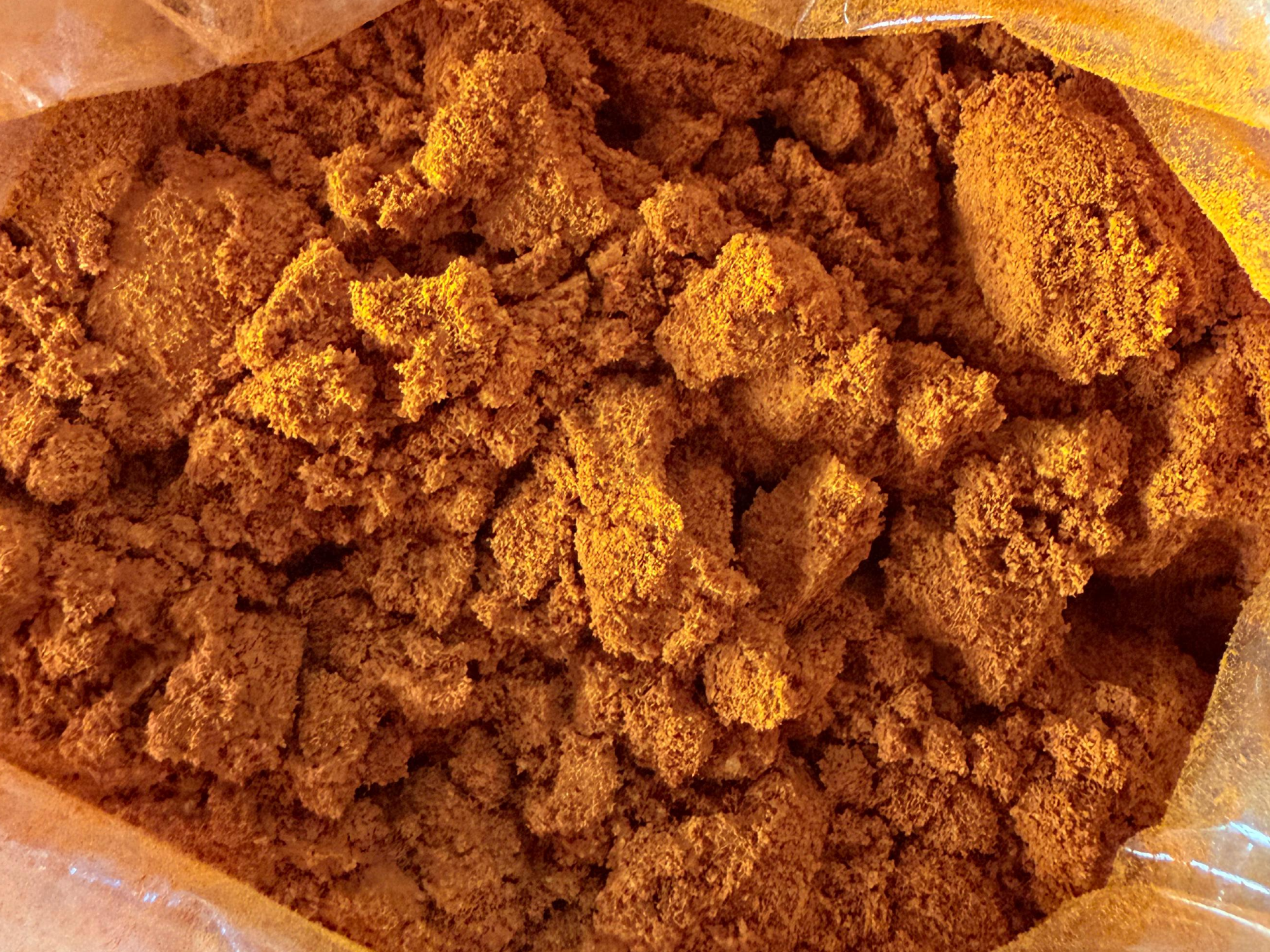 Curcuma premium egipto