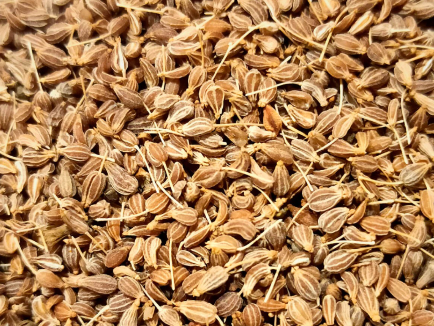 Anis en grano bolsa (30k)