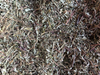 Chanca Piedra hoja