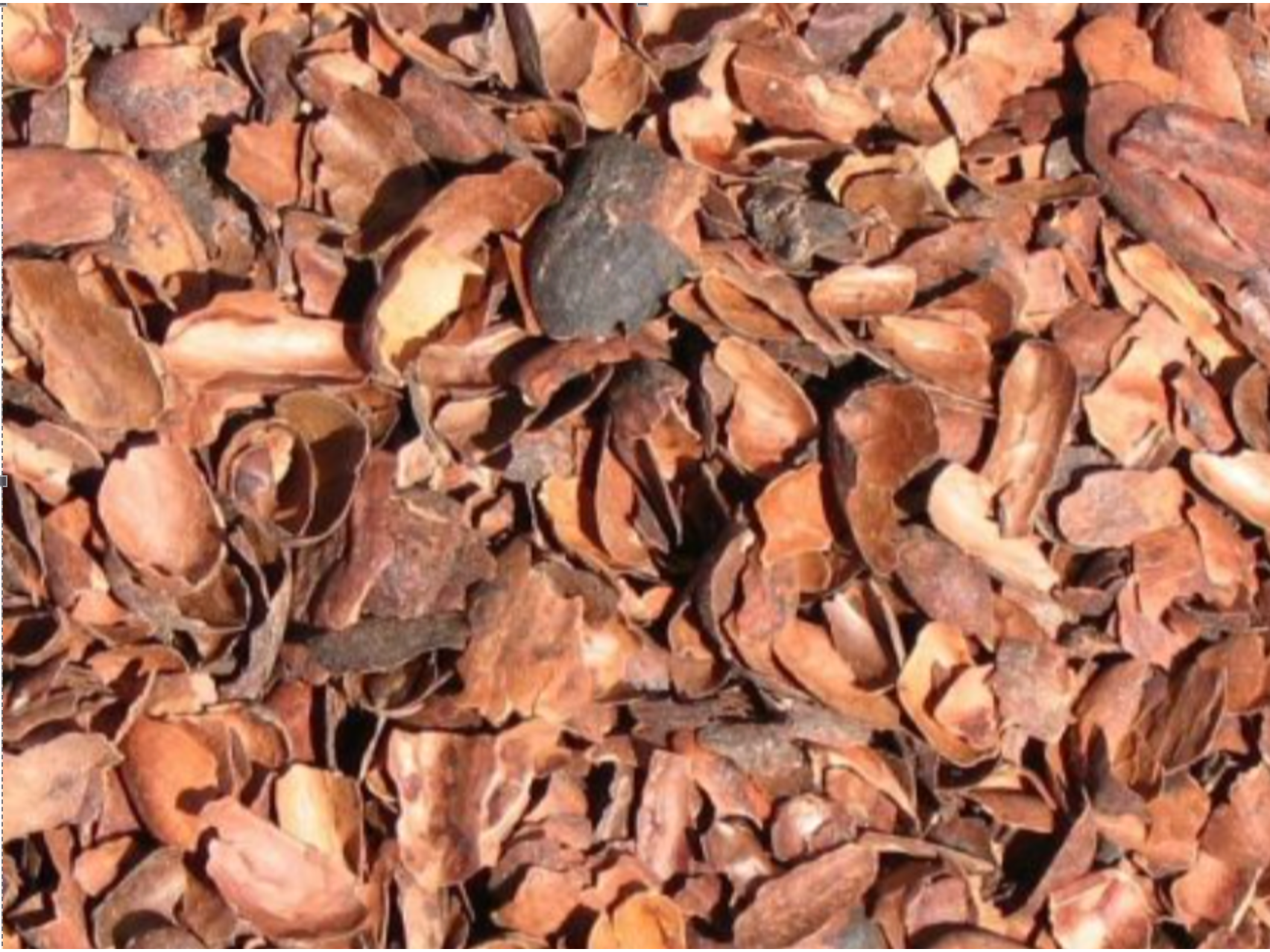 Cascarilla de cacao bolda (20k)