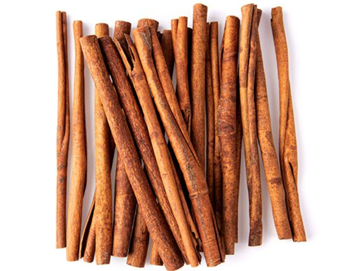 Canela rama H1